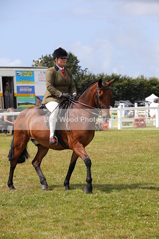 1X9A4094 - Class 32: Show Hunter Pony 153cm and under