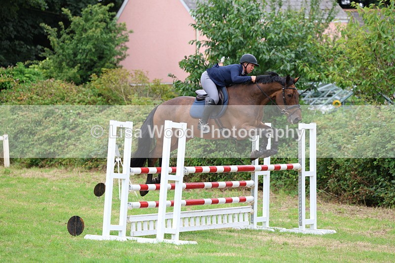 3E7A8443 - Class 8: Senior Foxhunter/1.20m open