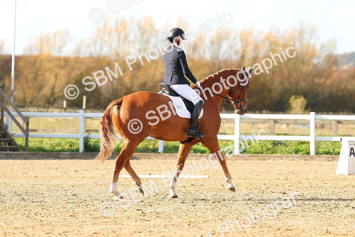 SBM_001172 - Novice 5