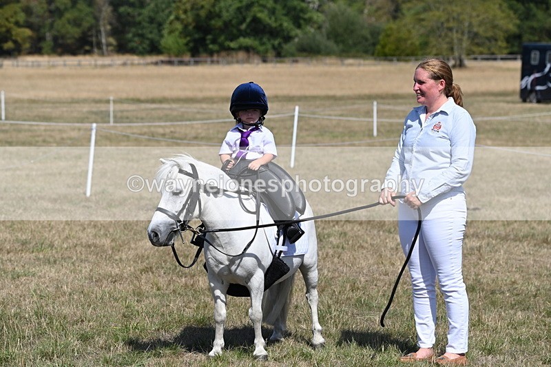 WJ6_9418 - Class 40 Cheekiest Pony/Horse