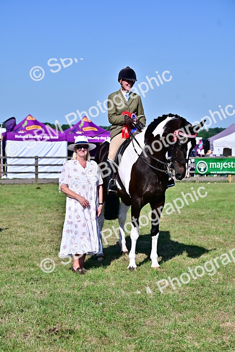SBM_19583 - Class 101-102 - BSPS LIHS Performance Coloured Horse/Pony