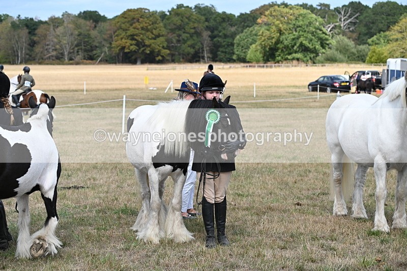 WJ6_6730 - Class 20 In-hand Cob