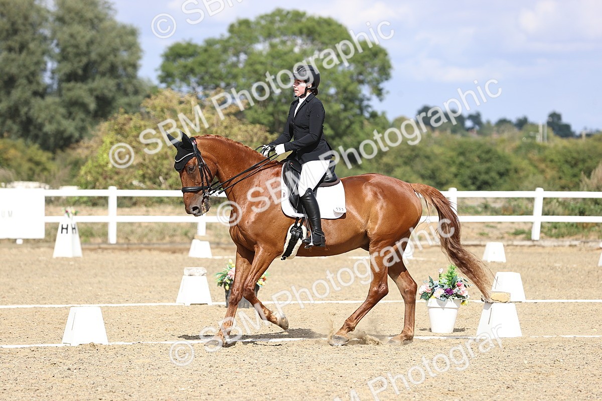 SBM_015260 - Class 5 - E5 Bronze 14.42.15.54