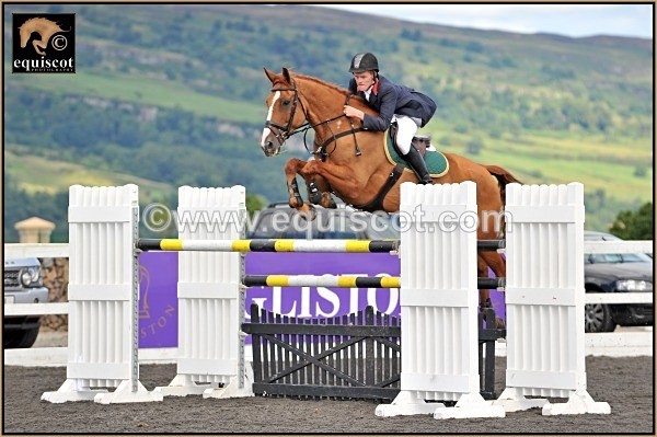 equiscot 5388 james smith ballyknock Lad - 2012 PRIZEWINNERS INDIVIDUAL PICS