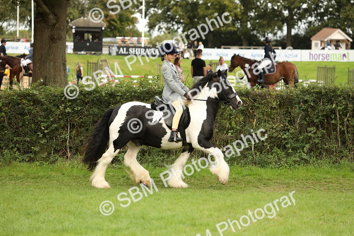 SBM_71669 - S41 - Ridden Equitation (Best Rider)