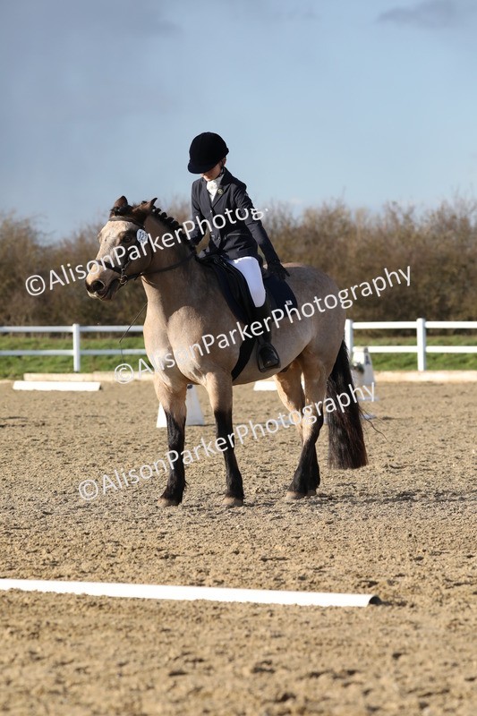 20260314-5936 - DR9 - PYO