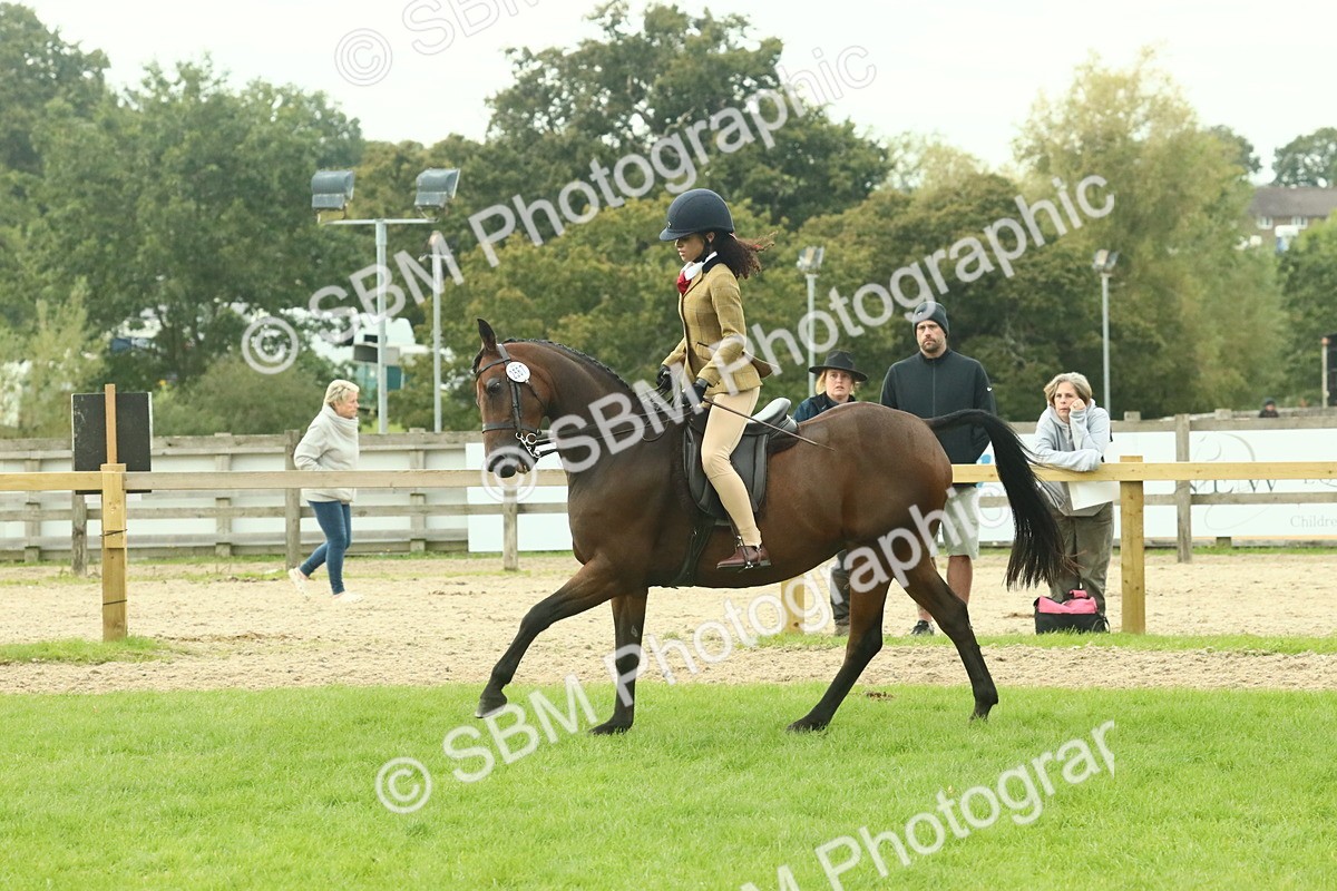 SBM_74086 - S 61 - Show Pony & Show Hunter Pony Ridden