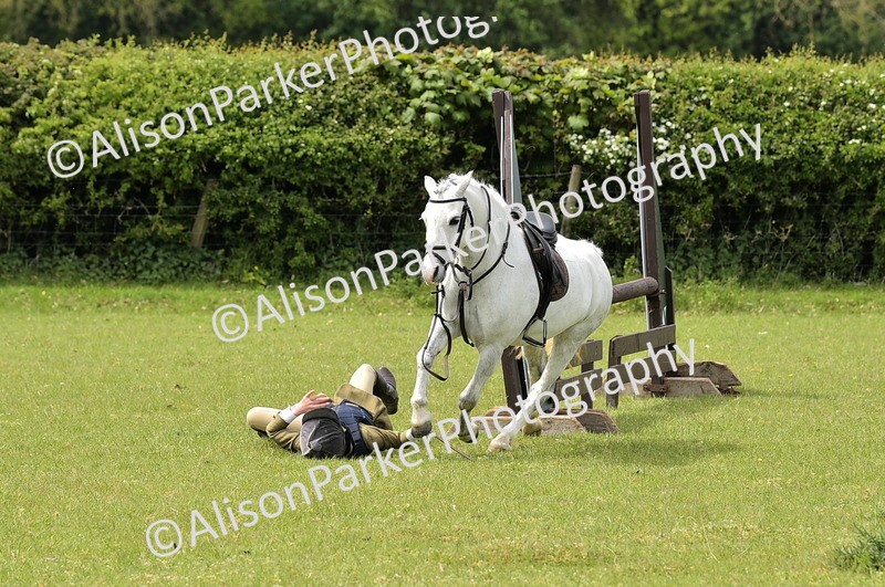 20260426-2419 - Class 21 - Working Hunter Ponies