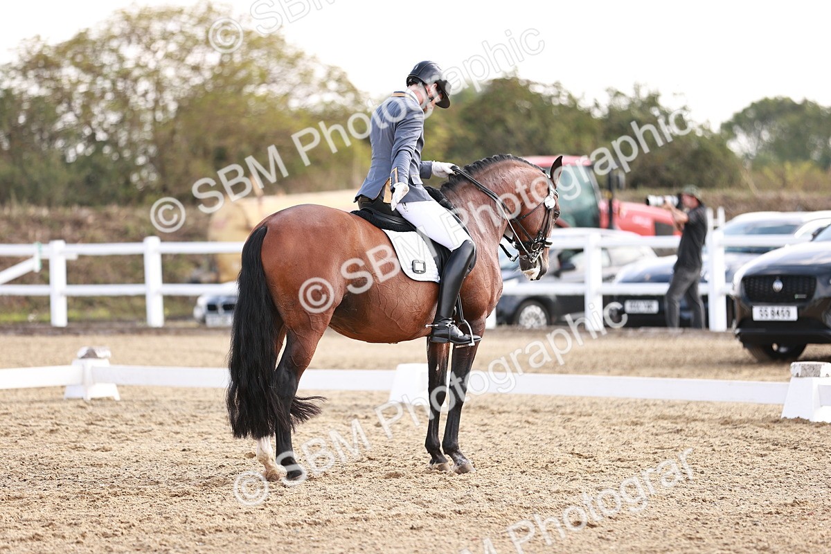 SBM_017612 - Class 11 - Advanced Medium 6