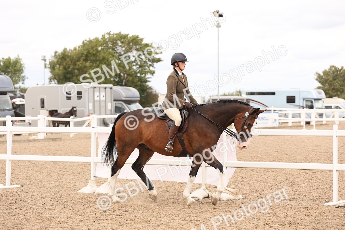 SBM_17200 - Class 213 - Ridden Hunter - Large