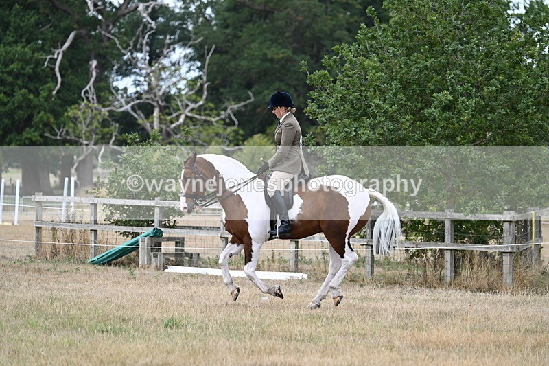 WJ7_5058 - Class 12 Ridden Cob
