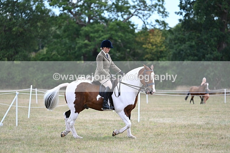 WJ7_5161 - Class 12 Ridden Cob