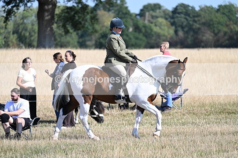 WJ7_3040 - Class 8 Ridden Tack & Turnout