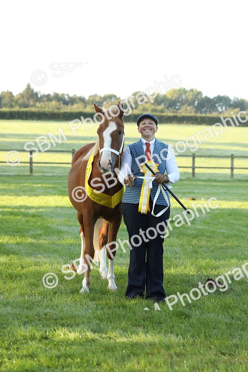 SBM_57859 - S42 - Youngstock
