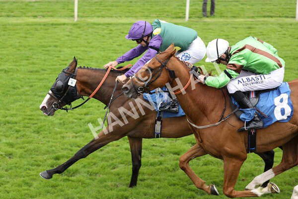 yr24072021r5-56 - Race 5 4.25pm Sky Bet Best Odds Guaranteed Stakes