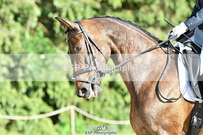 230623-175116-01629 - Cls 8 Medium 73Q