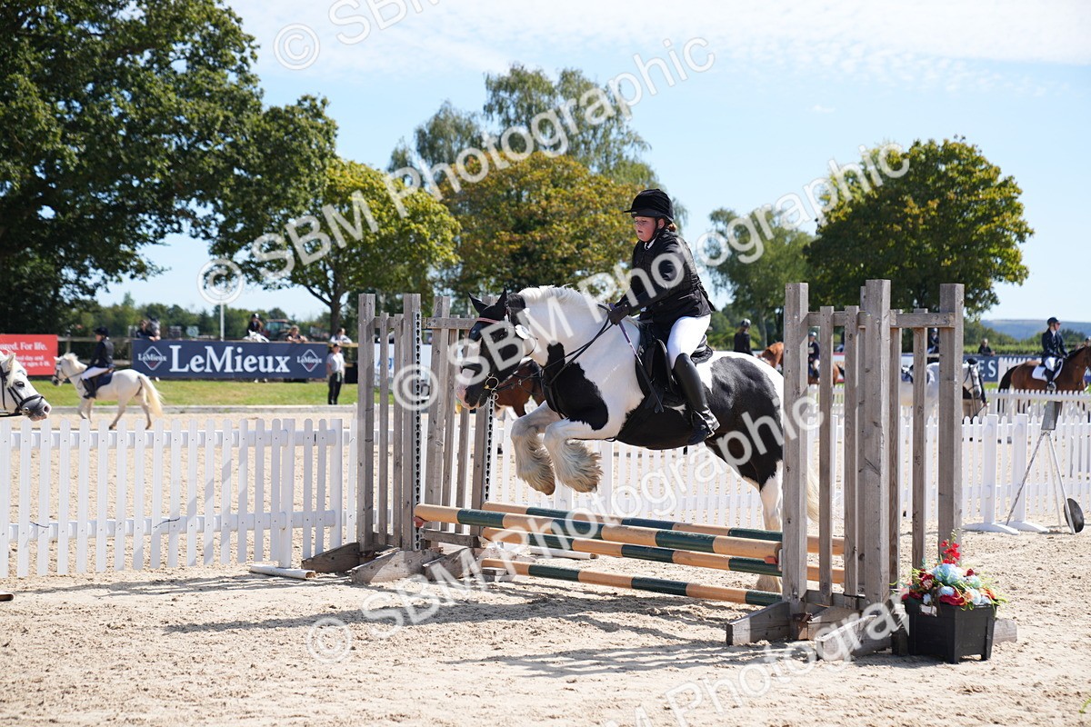 SBM_21499 - J49 - Open 50cm