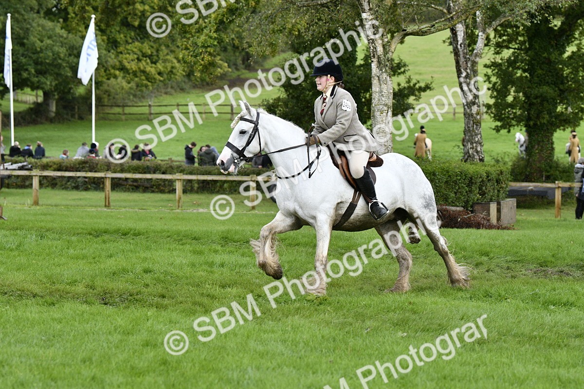 SBM_41538 - S32 - Mountain & Moorland Working Hunter Pony