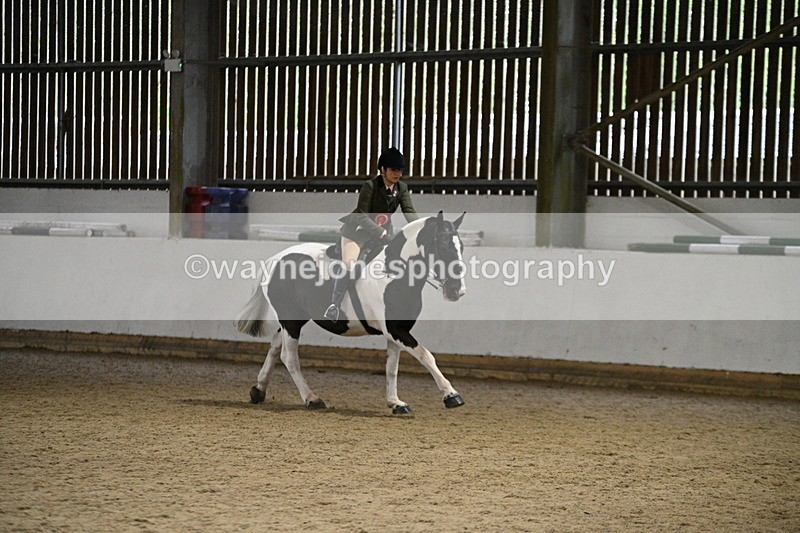 WJ7_3729 - Class 16 Ridden Coloured/ Odd Coloured