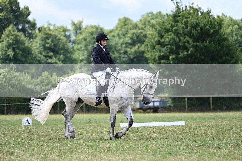 WJ7_4914 - Time 11:22 to 11:51