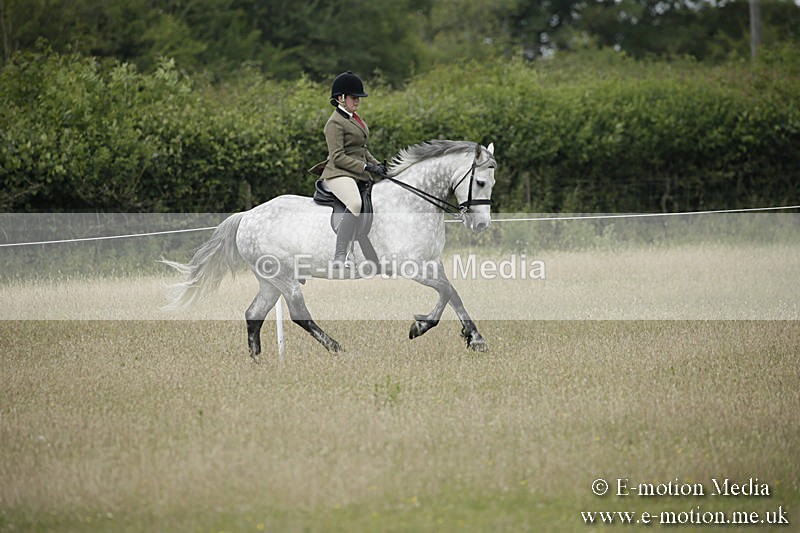 B230619-0490 - Bourne Valley Riding Club Summer Show 23/06/19