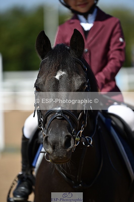 230903A-113512-04213 - Cls 18 Pony Brit Novice & 80cm Open