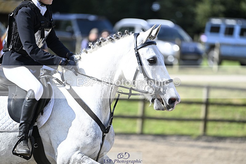 240823X-095613-14974 - 60cm R2 9.30 to 11.00