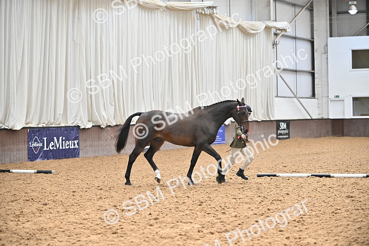 SBM_000730 - Class 14 - SSADL In Hand Championships