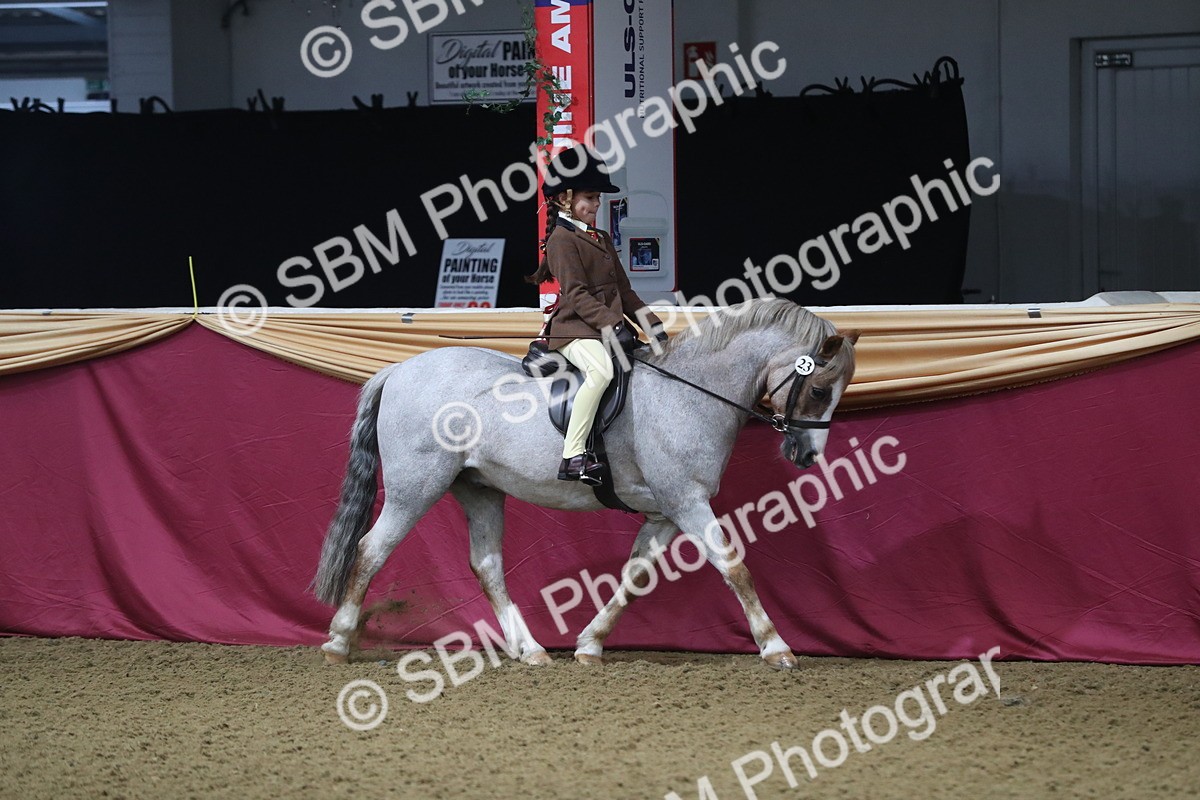SBM_09239 - Class 101 Equitation (best rider), Junior