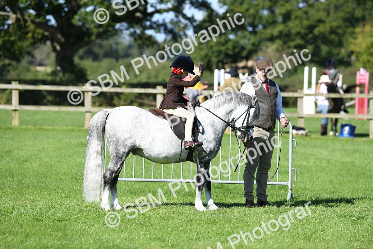 SBM_39516 - S18 - Novice & Newcomers Lead Rein Pony