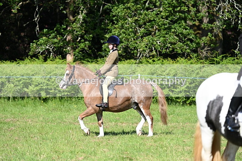 WJ7_0494 - Class 8 First Rally Pony