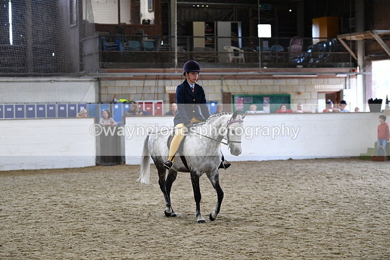 WJ5_7741 - Class 13 Ridden Part Breed