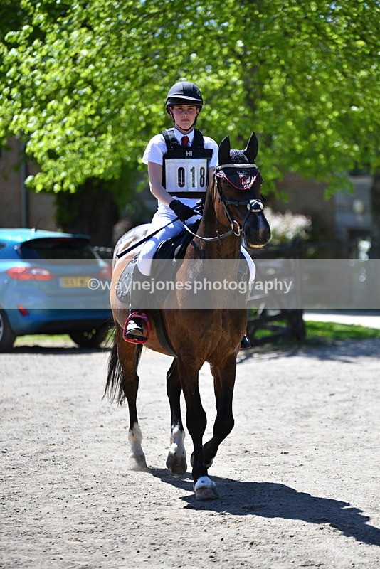 WJ5_7494 - 80cm time 12:47 to 13:39