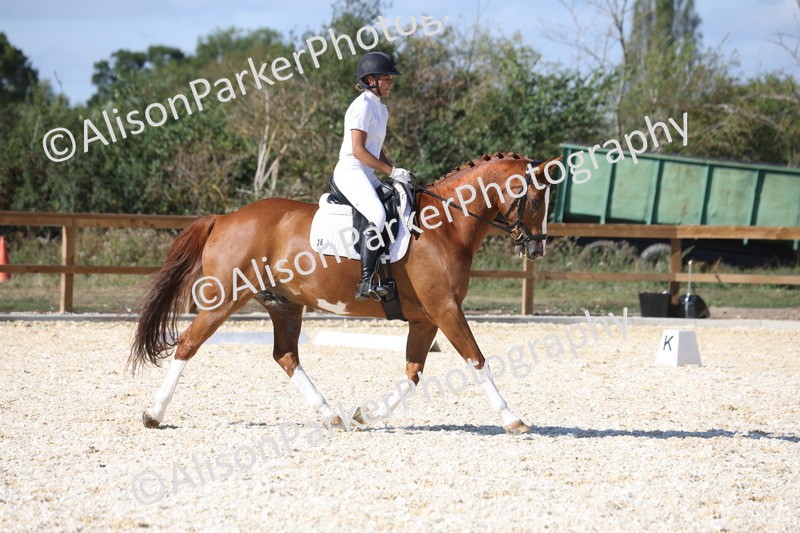 20260905-1544 - Class 5 - Novice 2