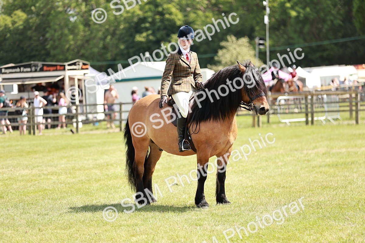 SBM_07110 - Class 26-30 - Mountain and Moorland Ridden