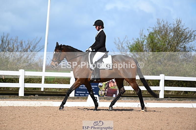 240323A-112036-02593 - DR Novice 24