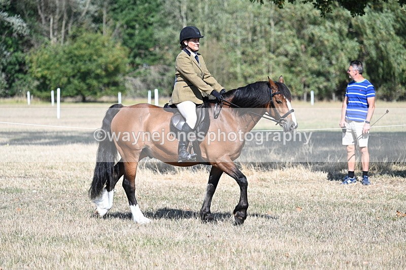 WJ7_3424 - Class 9 Mountain & Moorland Ridden