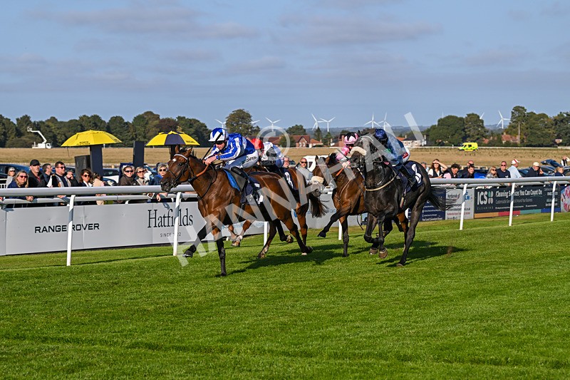 180924-Race 7-Fox Avatar-5236 - Race 7