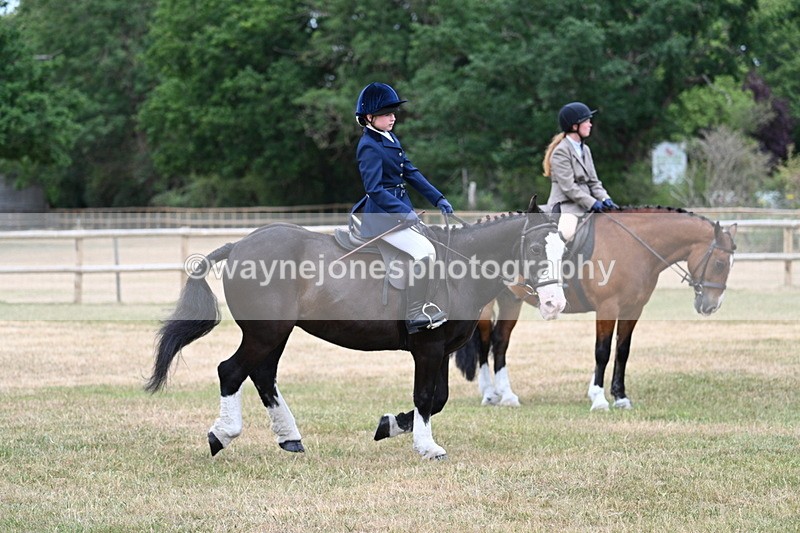 WJ7_1051 - Class 3 Family Mount