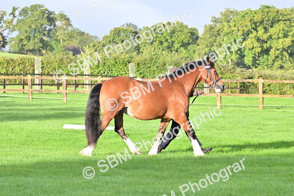SBM_32617 - S15 - Top Turnout In Hand