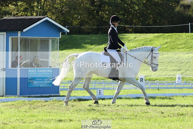 251024A-143937-14085 - F-479-Poppy.Wellman