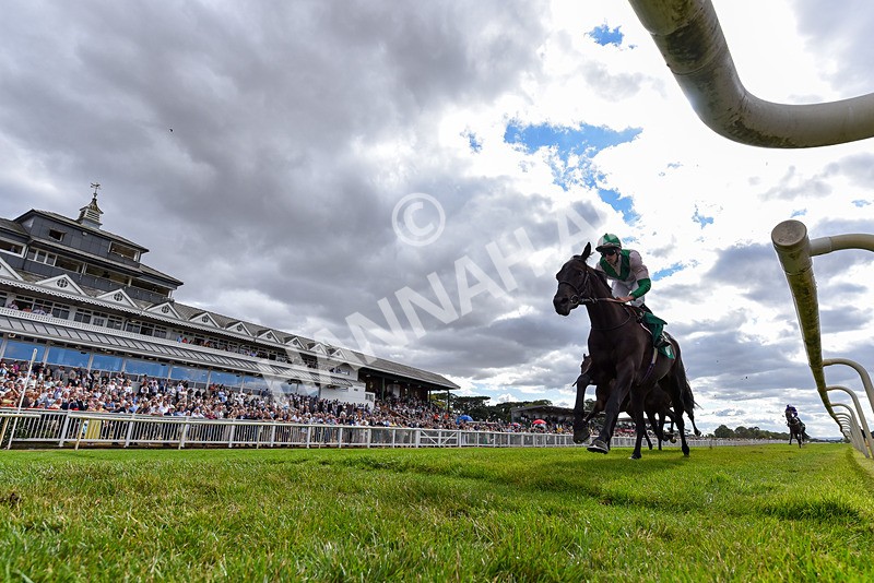 010826-Race 6-La Peregrina-4709 - Race 6 16.22pm Vision PVC Carlton Miniott Thirsk Handicap