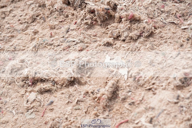 250511-151742-14686 - Cls 35 1.10m Amateur Quali and Open