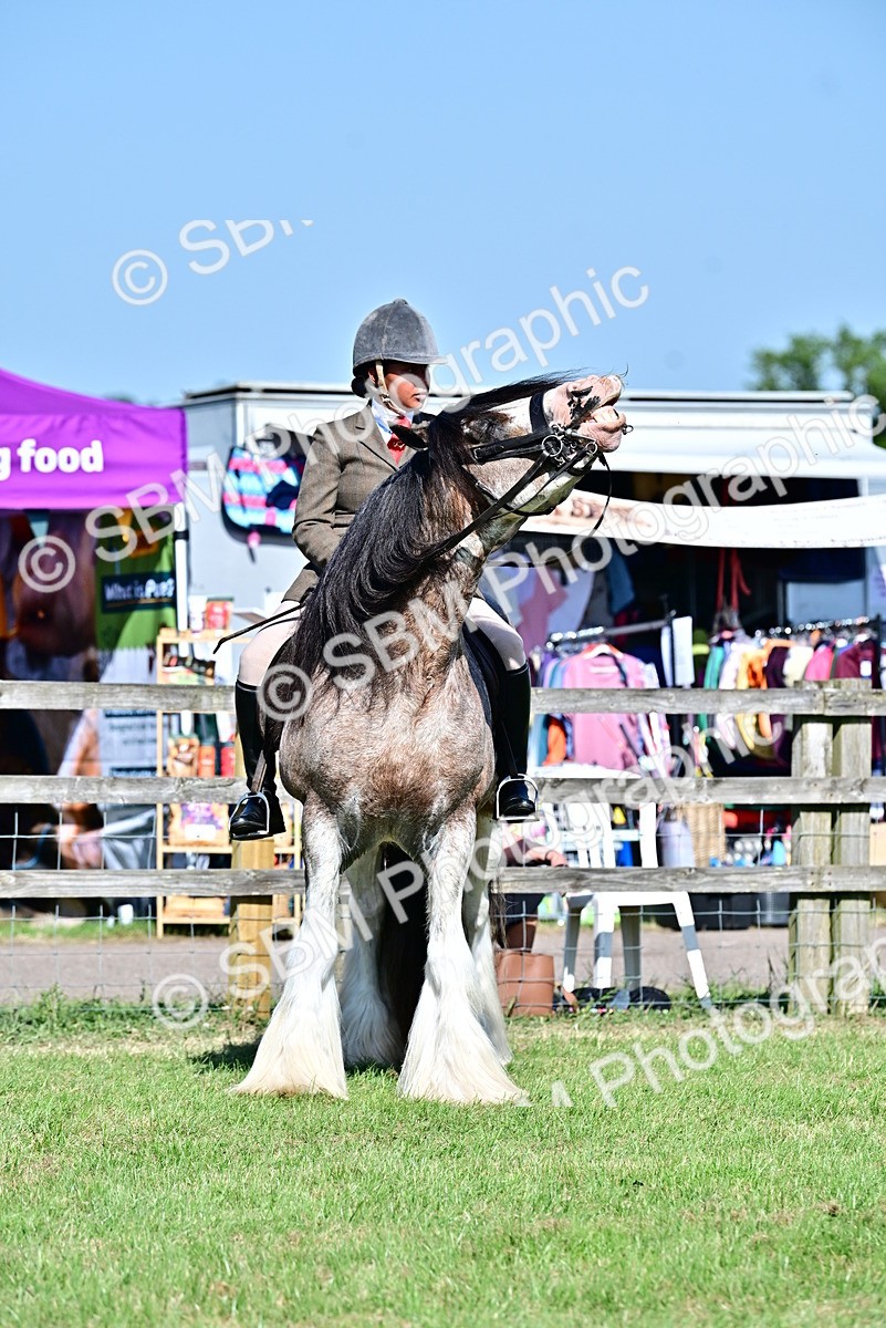 SBM_19446 - Class 101-102 - BSPS LIHS Performance Coloured Horse/Pony