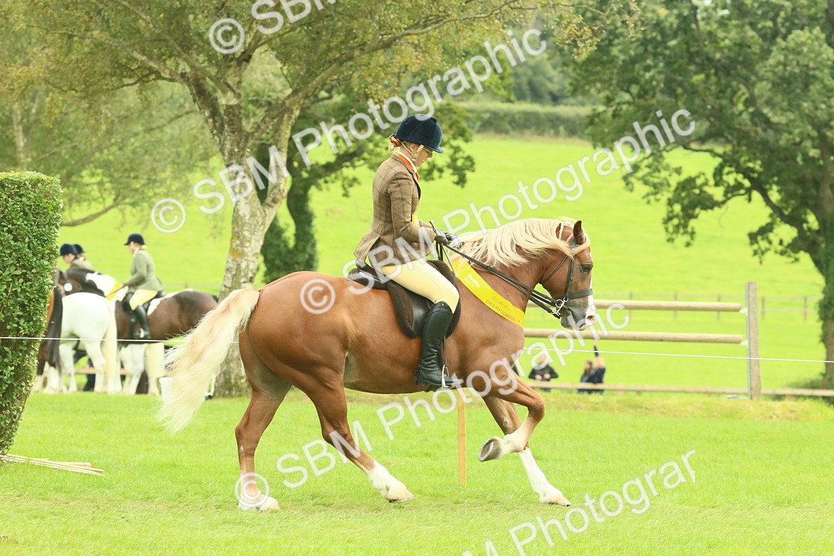 SBM_75033 - Ridden Pony Supreme Championship