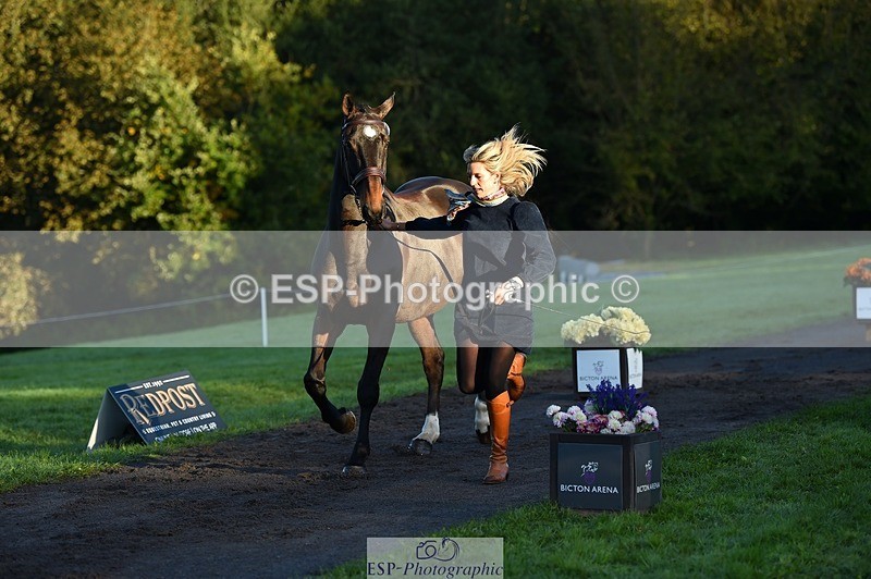 231022-085924-21489 - 603-KILBUNNY.BLUE.BIRD-Claire.Deuten-TrotUp+SJ