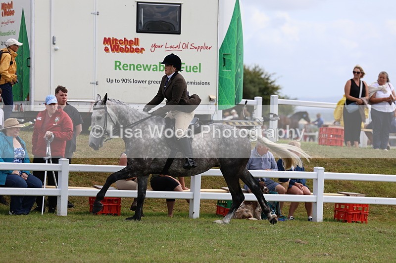 3E7A0634 - Rising Star Ridden Championship