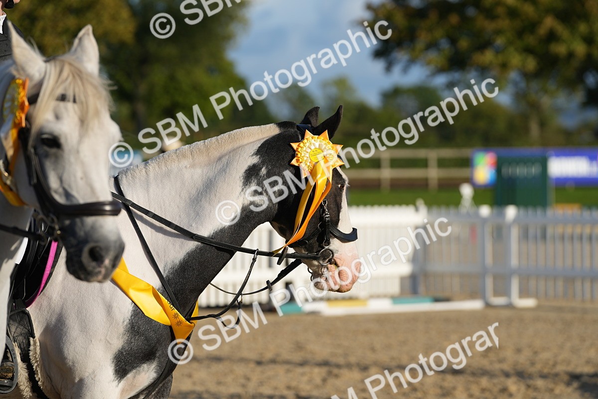 SBM_54042 - J8 - Junior Pony 65cm Championship