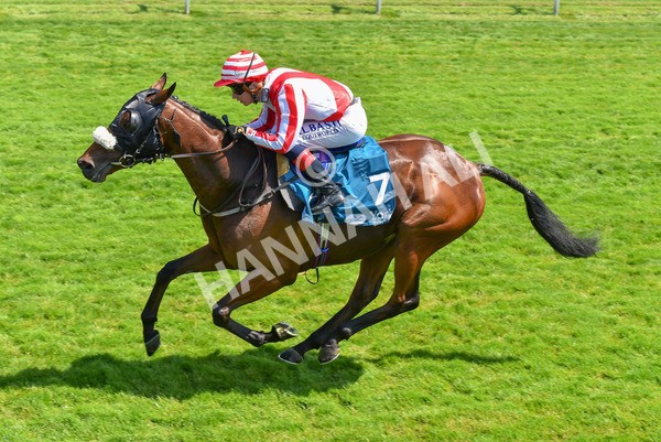 160623-Race 1-Menelaus-6156 - Race 1 1.50pm Andy Thornton Hospitality Furniture Apprentice Handicap