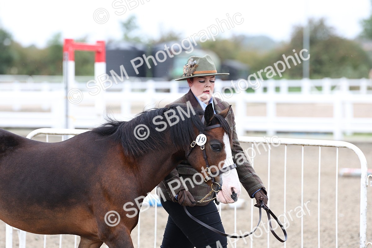 SBM_00013 - Class 50 - Best Turned Out IH